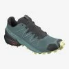 Salomon Women's Speedcross 5 (north Atlantic/black/charlock)